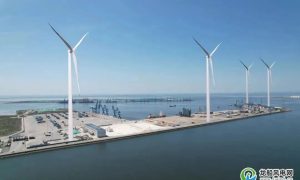 山东港口潍坊港区分散式风电项目首台风机吊装成功